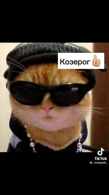 я весы #а4 #жиза смотреть онлайн