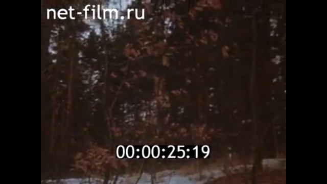 Альманах кинопутешествий № 121 Путями первопроходцев и др.,1977г смотреть онлайн