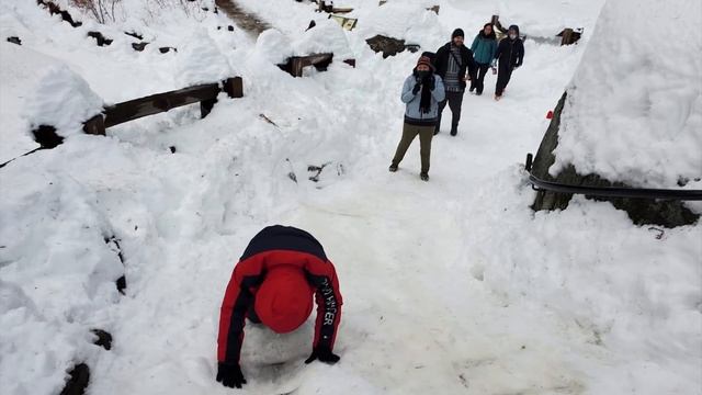 Sequoia in the Snow смотреть онлайн