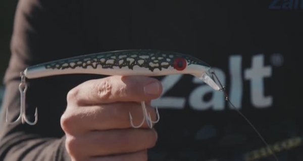 Zalt Zam, Zalt Z, Zalt, Zam Z, Zam Z Tail. Съемка под водой.