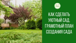 Как сделать уютный сад. Грамотный план создания сада