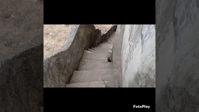 emotional of the kashmiri forest and house's смотреть онлайн