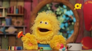 Какие птицы бывают? Смотрите выпуск о птицах из программы "ТриО" на телеканале "О!"