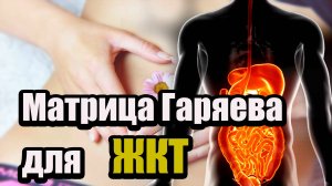 🔹 Матрица Гаряева для ЖКТ – Восстановление пищеварения и здоровья желудка 🔹