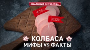 🍖 КОЛБАСА: МИФЫ vs ФАКТЫ! ЧТО СКРЫВАЕТСЯ ЗА «Е-ШКАМИ»? 🔍