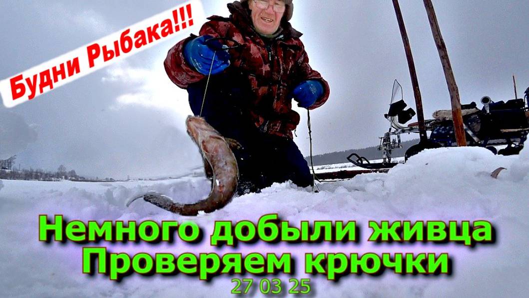 Немного добыли живца Проверяем крючки 27 03 25 смотреть онлайн