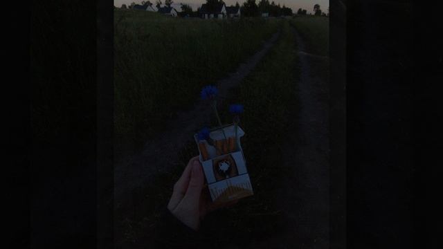 Marlboro смотреть онлайн