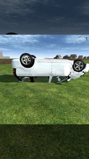 вишек (смотреть со звуком)