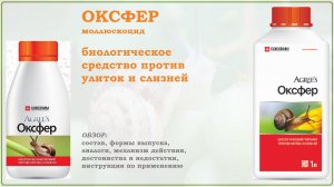 Оксфер - биологическое средство для защиты растений от слизней и улиток. Обзор биомоллюскоцида