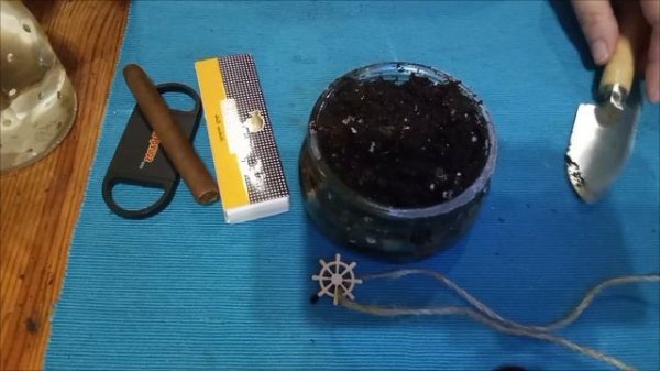 Посев семян табака сорт Connecticut Broadleaf