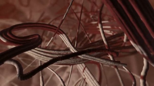 ARTLIFE BEAUTELLE 5min