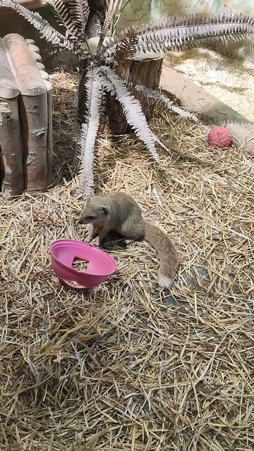 5b82d1a3-89c0-4696-9dcd-d0b9b5b01bf1-1_all_21845.mp4