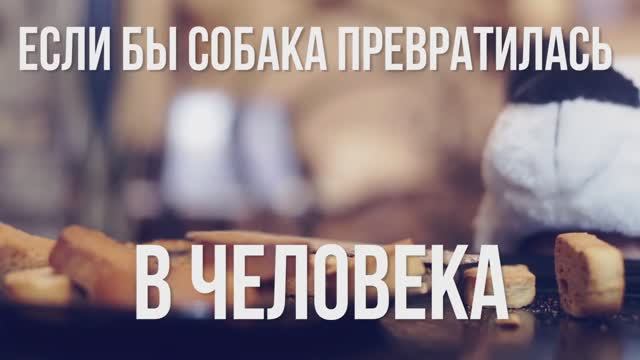 Если бы собака была человеком🐶😂 смотреть онлайн