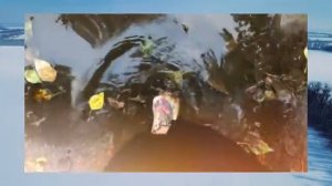 МАГИЯ СТИХИЙ. КАК ОБУЧИТЬСЯ МАГИИ ЗЕМЛИ.