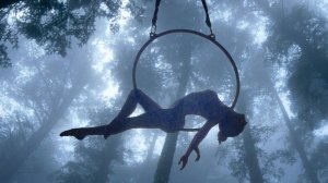 Сергей Грищук – С ТИШИНОЙ НАЕДИНЕ