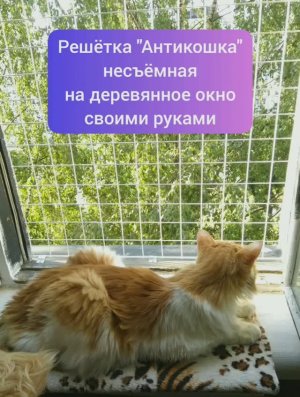 Сетка _Антикошка_ на деревянное окно своими руками