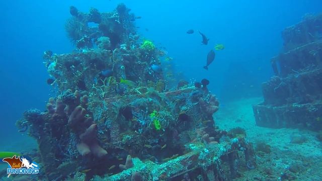 bali diving смотреть онлайн