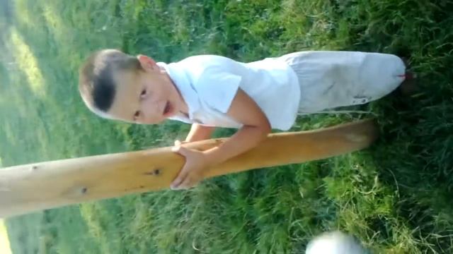 Солодка штанга смотреть онлайн