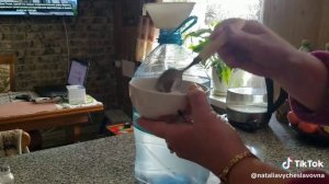 Березовый квас. Самый простой рецепт.