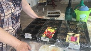 Посев семян цветов на рассаду. В домашних условиях.