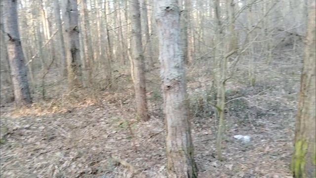 Красота!!! смотреть онлайн