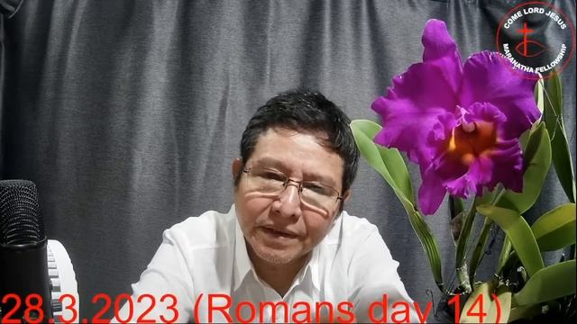 28.3..2023 смотреть онлайн