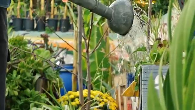 Ron Finley Teaches Gardening Official Trailer MasterClass смотреть онлайн