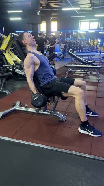 5 Сгибания на бицепс сидя на скамье