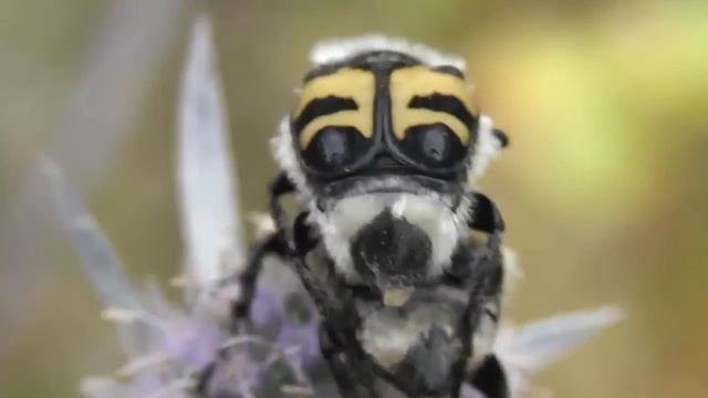 СТАЦИЯ: Коитус смотреть онлайн