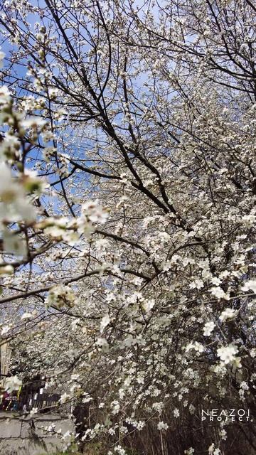 Это ЖЖЖ неспроста! смотреть онлайн