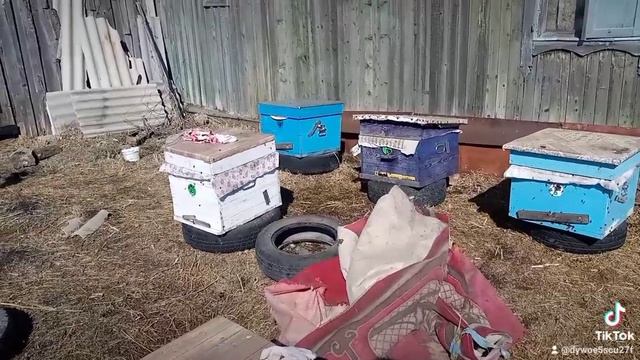 пришло тепло