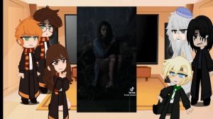 Реакция Гарри Поттера на Колдовстворец 2/2?