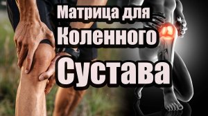 🔹 Звуковая матрица для коленного сустава 🔹 П.П.Гаряев