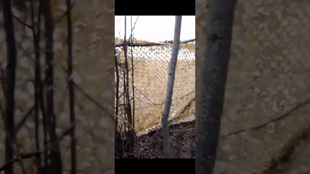 Одна история из весенней охоты