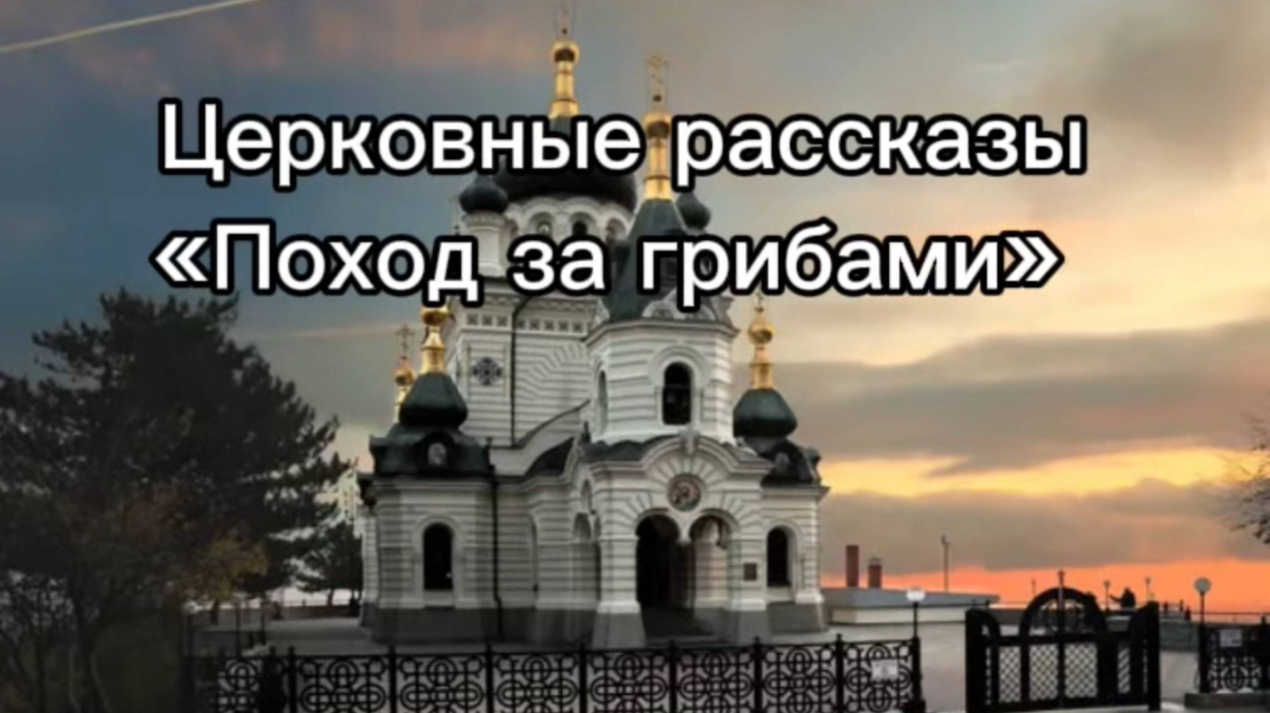 Церковные рассказы "Поход за грибами" смотреть онлайн