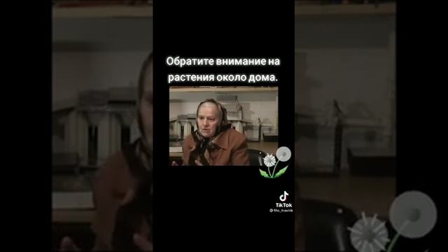 Обратите внимание на растения возле своего дома! смотреть онлайн