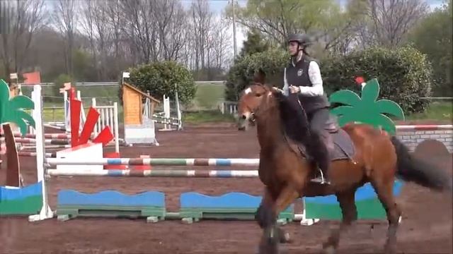 [Concours CSO n°4] Club 2 et Prepa 85 cm смотреть онлайн