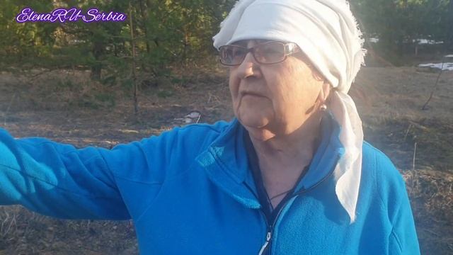 ВСТРЕЧА С ХОЗЯИНОМ ЛЕСА И ЕГО ЖЕНОЙ/РЕАЛЬНЫЕ ИСТОРИИ #elenaruserbia #жизньвдеревне #леший #vlog