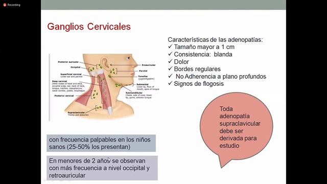 PEDIATRIA I: Semiología pediátrica - Parte II (1 de agosto) смотреть онлайн