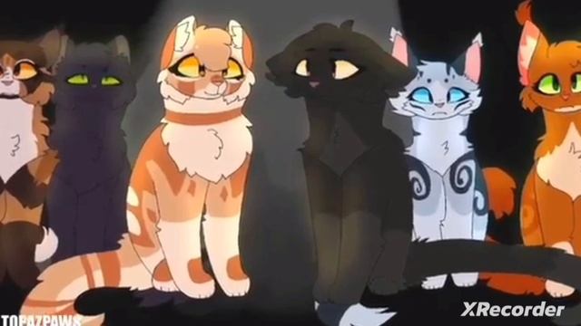 мой любимый MAP смотреть онлайн