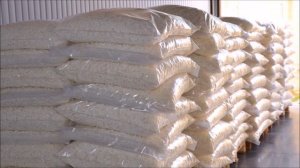 Испытание биозагрузки для УЗВ и декоративных прудов