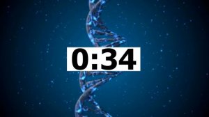 Artificial Intelligence (Светлана Рудкевич, тренажер ЕГЭ)