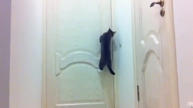 Bruna is opening the door / Бруна открывает дверь смотреть онлайн