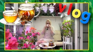 VLOG: ПРОПАЛ ГОЛОС//ПЬЮ ЧАЙ С МАЛИНОВЫМ ВАРЕНЬЕМ☕// ПОГОВОРИМ О ДОМАШНИХ  ЖИВОТНЫХ 🐈