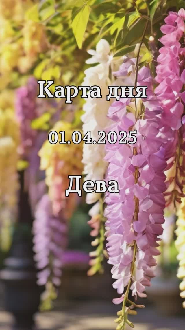 ✨Карта дня 01.04.2025 Дева смотреть онлайн