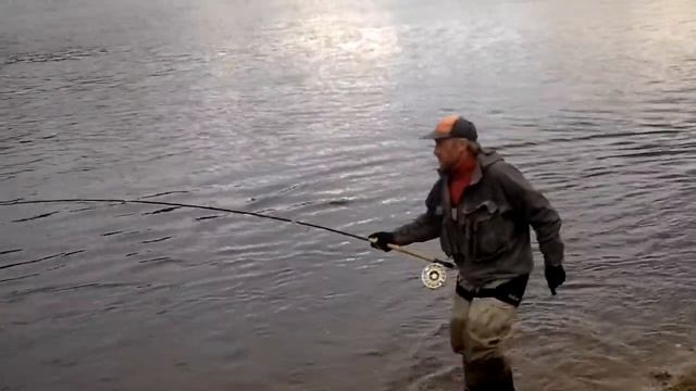 Семга:-) смотреть онлайн