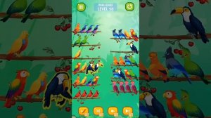 Bird sort color puzzle - 🦆🐥🐦 All Levels & Challenges (Mobile Gameplay)