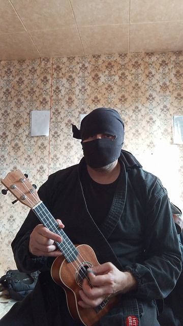 Very Nordic Ninja: Owl (28.03.2025) Крайне Северный Ниндзя: Сыч #VeryNordicNinjaUkuleleRiffArts