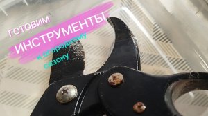 Готовим садовый инструмент к сезону. Как наточить секатор.