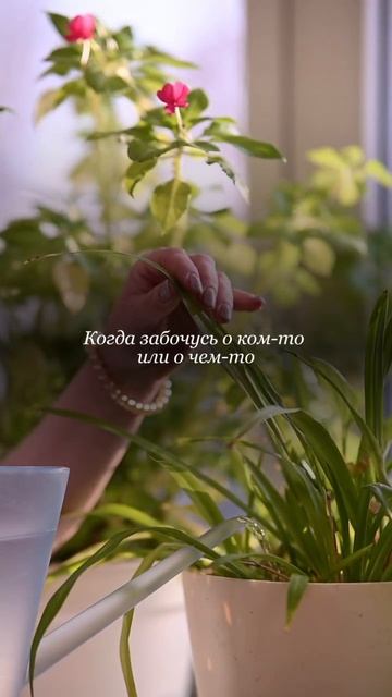 Когда в последний раз вы чувствовали себя живым? смотреть онлайн